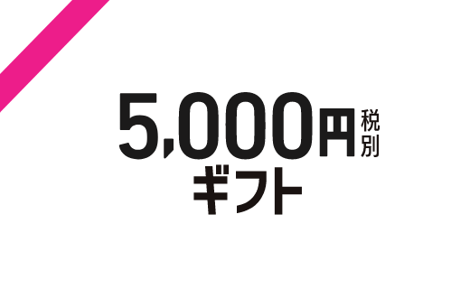 5,000円税別 ギフト