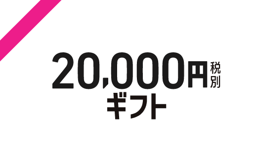 20,000円税別 ギフト